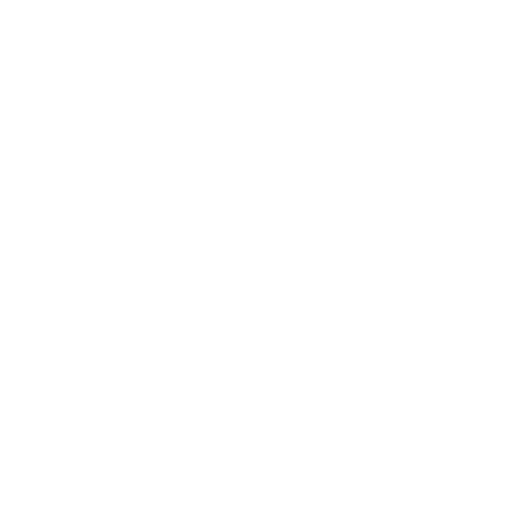 Zeeshan Khan Logo